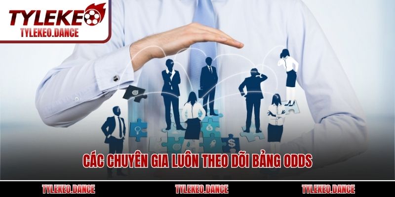 Các chuyên gia luôn theo dõi bảng odds