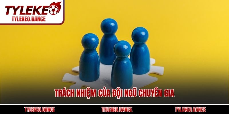 Trách nhiệm của đội ngũ chuyên gia