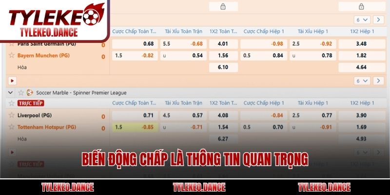 Biến động chấp là thông tin quan trọng