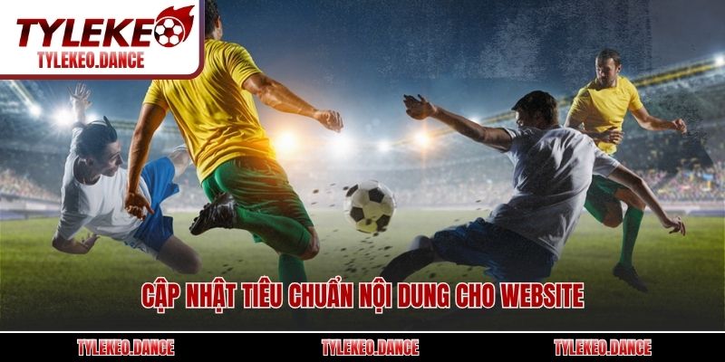 Cập nhật tiêu chuẩn nội dung cho website