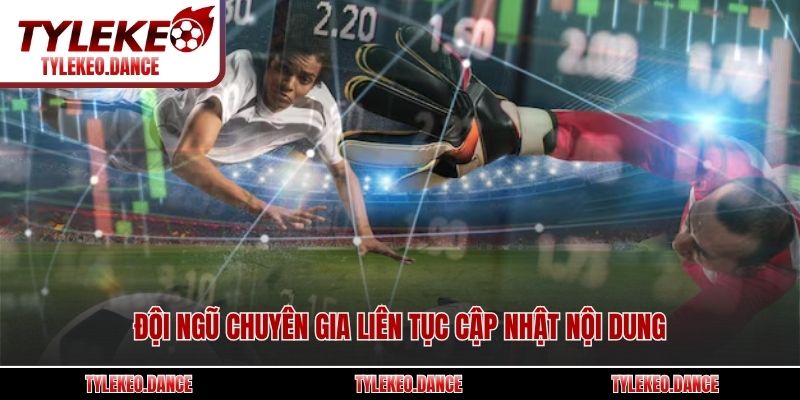 Đội ngũ chuyên gia liên tục cập nhật nội dung