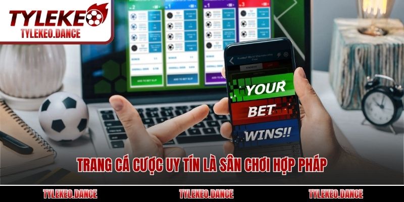 Trang cá cược uy tín là sân chơi hợp pháp