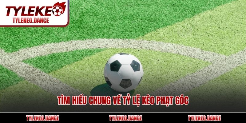 Tìm hiểu chung về tỷ lệ kèo phạt góc