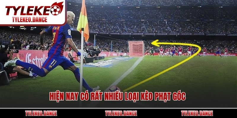 Hiện nay có rất nhiều loại kèo phạt góc