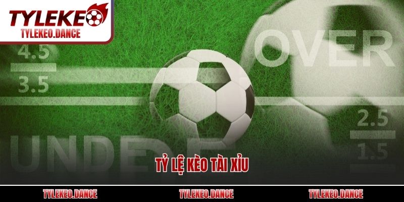Tỷ lệ kèo Tài Xỉu